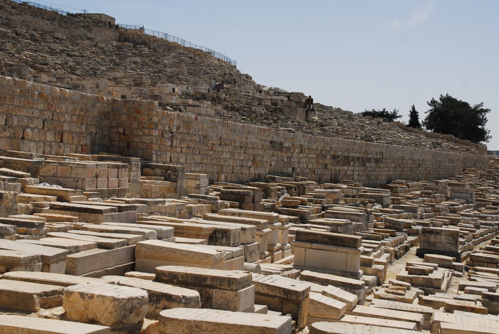 אודי שטיינוול, מתוך אתר פיקיויקי